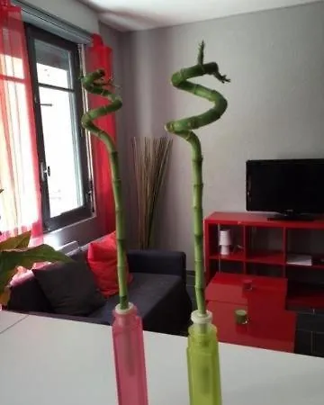 Apartamento Le Logis Le Pic Du Midi Et Le Logis Le Col D'aspin Lourdes