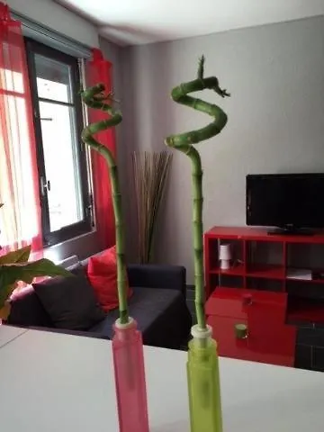 Apartament Le Logis Le Pic Du Midi Et Le Logis Le Col D'aspin Lourdes