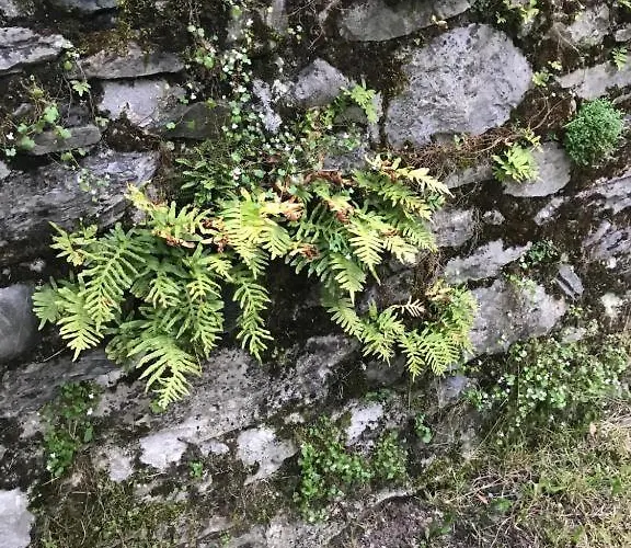 Le Logis Le Pic Du Midi Et Le Logis Le Col D'aspin Lourdes