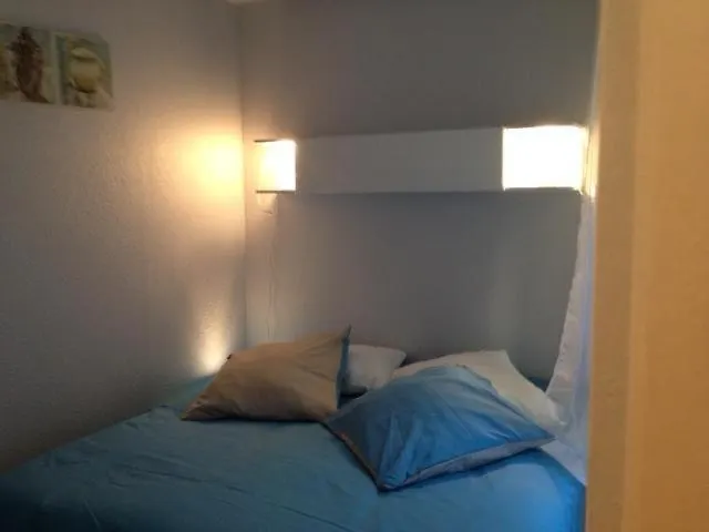 Le Logis Le Pic Du Midi Et Le Logis Le Col D'aspin Apartament *