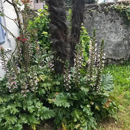 Daire Le Logis Le Pic Du Midi Et Le Logis Le Col D'aspin Lourdes
