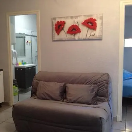 Le Logis Le Pic Du Midi Et Le Logis Le Col D'aspin * לורדה