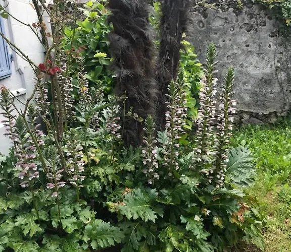 Apartment Le Logis Le Pic Du Midi Et Le Logis Le Col D'aspin Lourdes