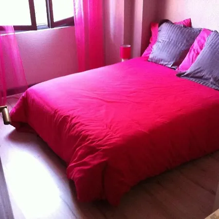 Lejlighed Le Logis Le Pic Du Midi Et Le Logis Le Col D'aspin *